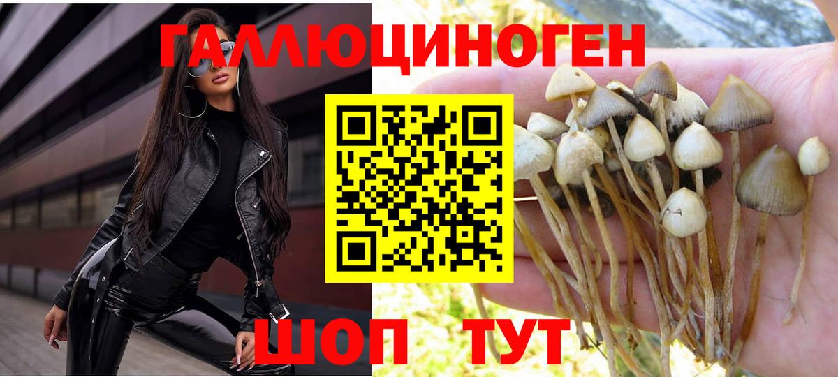 Сургут  Галлюциногенные грибы мухоморы  Вход с VPN 